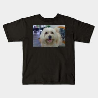 PET DOG Kids T-Shirt